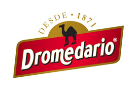Dromedario